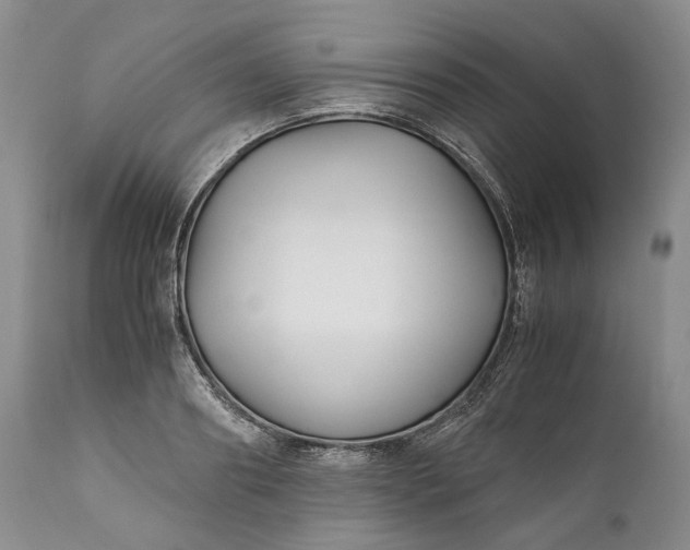 X0000110930890200907021520
