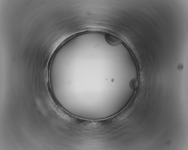 X0000110930891200907021520
