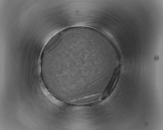 X0000110930892200907021520