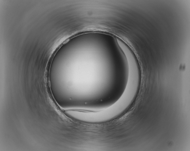 X0000110930893200907021520