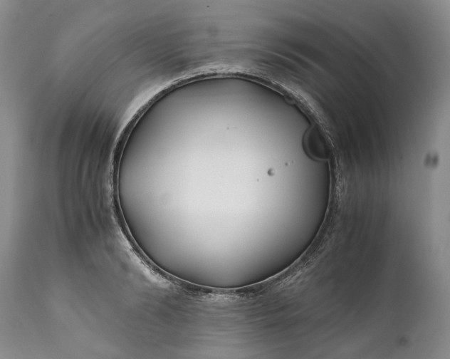 X0000110930894200907021520
