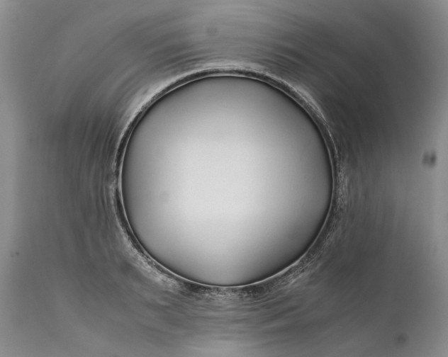X0000110930895200907021520