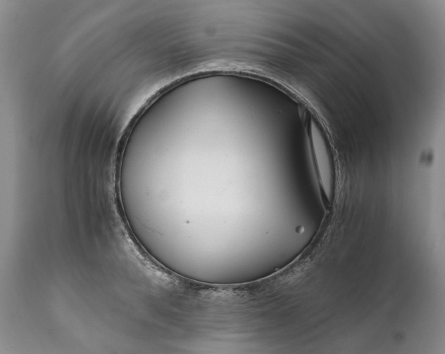 X0000110930896200907021520