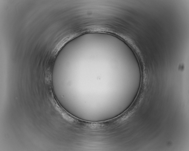 X0000110930897200907021520