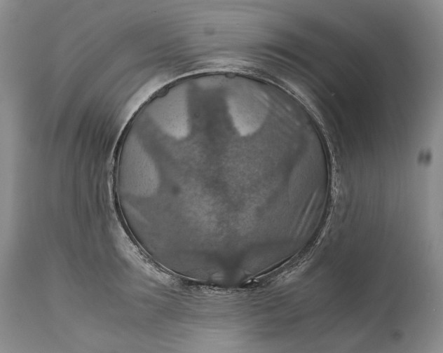 X0000110930899200907021520