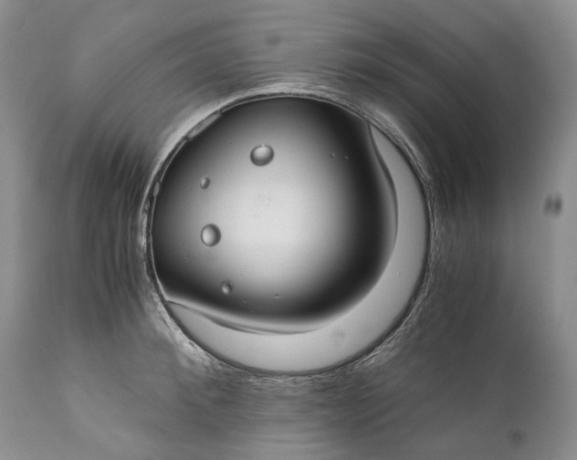 X0000110930900200907021520