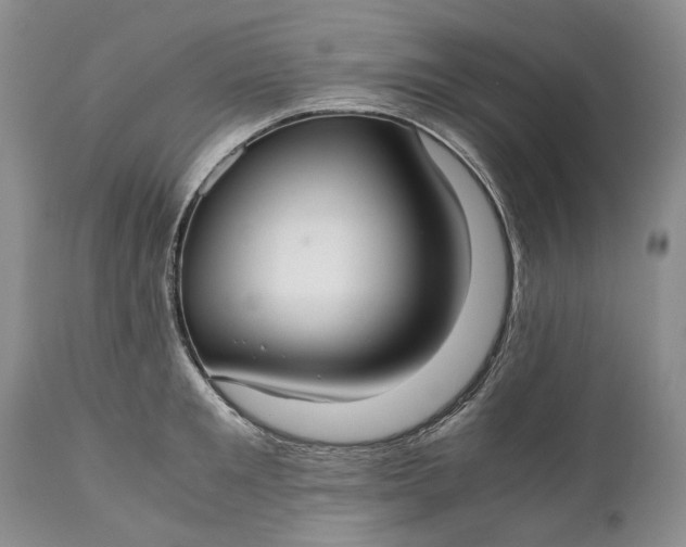 X0000110930901200907021520