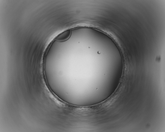 X0000110930902200907021520