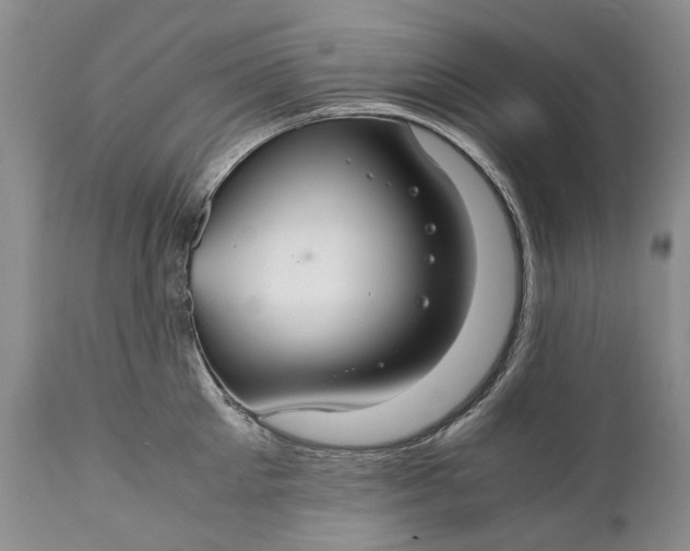X0000110930905200907021520