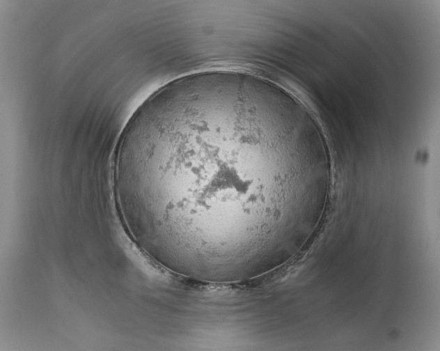 X0000110930907200907021520