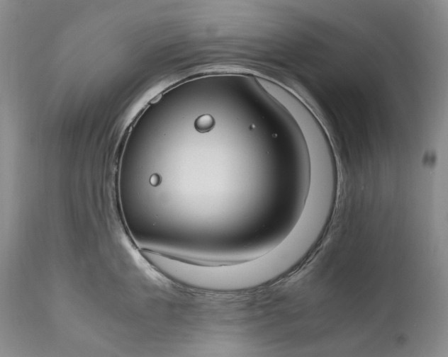 X0000110930909200907021520