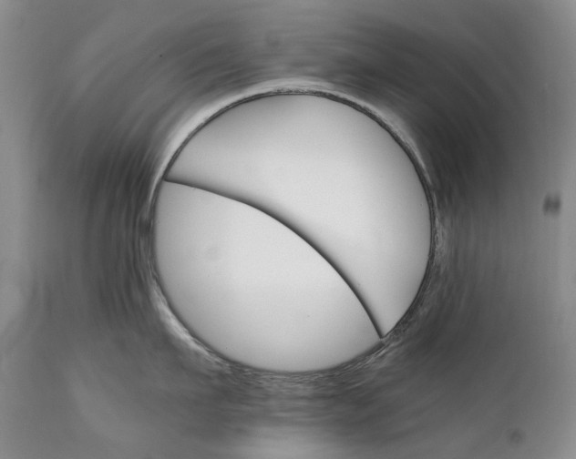 X0000110930911200907021520