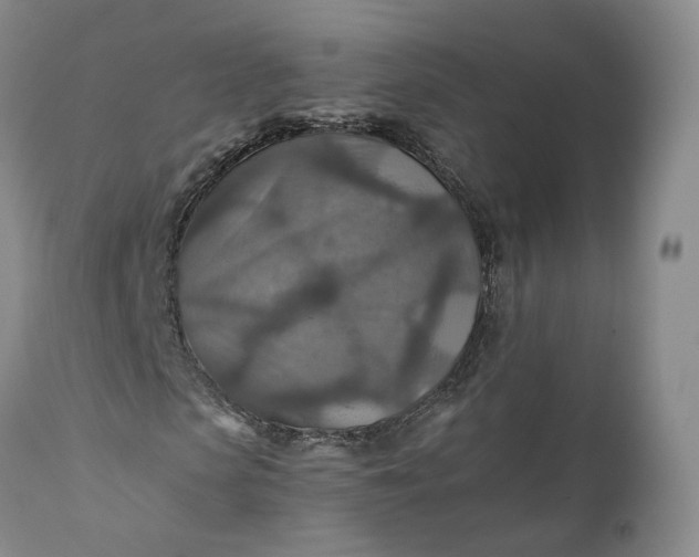 X0000110930913200907021519