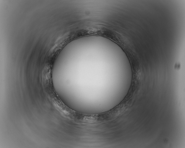 X0000110930914200907021519