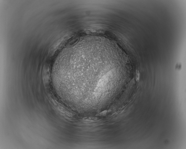 X0000110930915200907021519