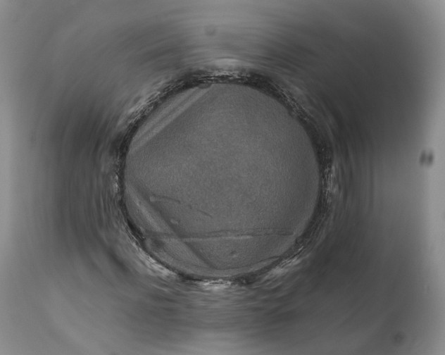 X0000110930916200907021519