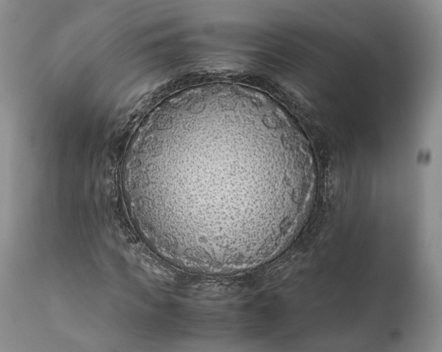 X0000110930917200907021519