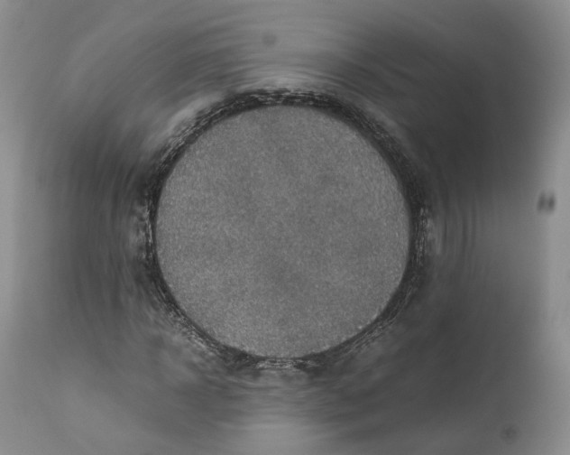 X0000110930918200907021519