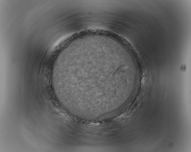 X0000110930919200907021519