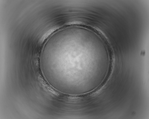 X0000110930921200907021519