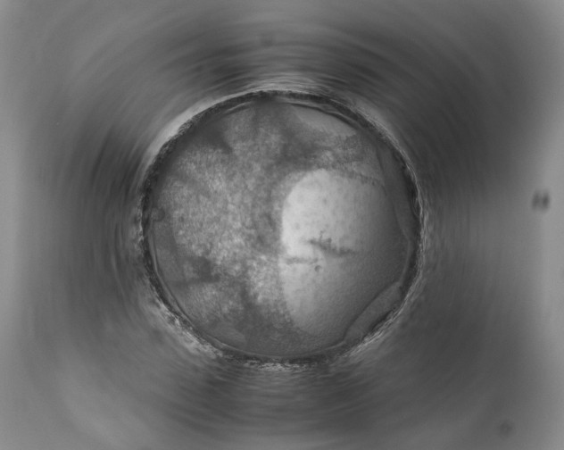 X0000110930923200907021519