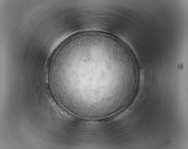 X0000110930925200907021519