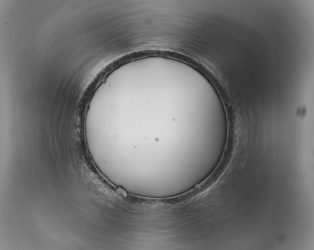 X0000110930926200907021519