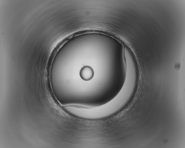 X0000110930928200907021520