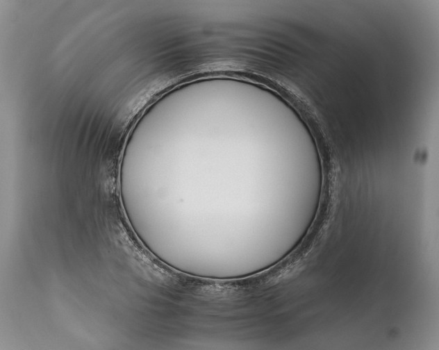 X0000110930929200907021520