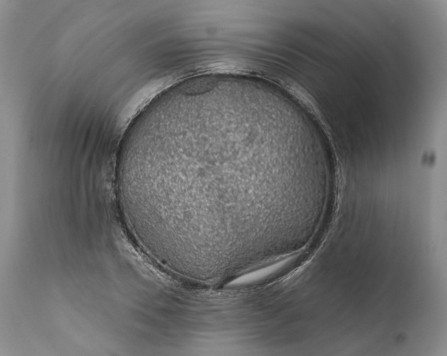 X0000110930930200907021520