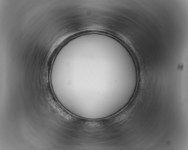 X0000110930931200907021520