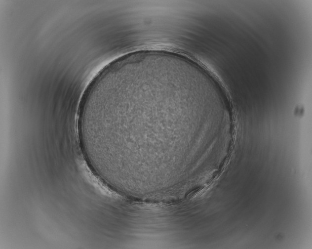 X0000110930932200907021520