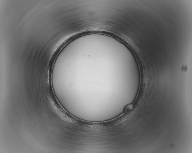 X0000110930934200907021520