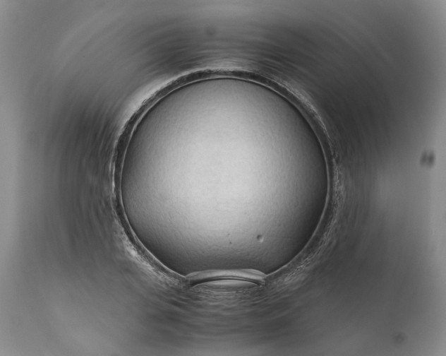 X0000110930935200907021520