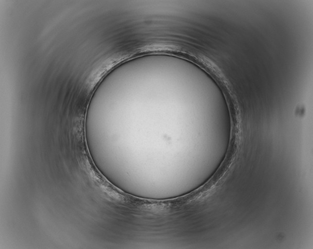 X0000110930937200907021520