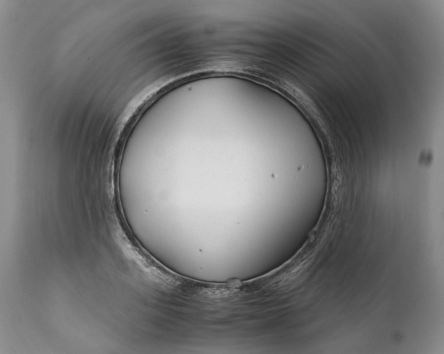 X0000110930939200907021520