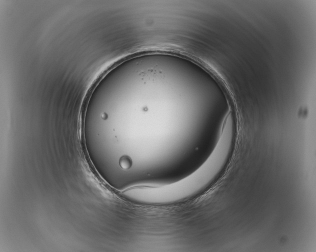 X0000110930940200907021520