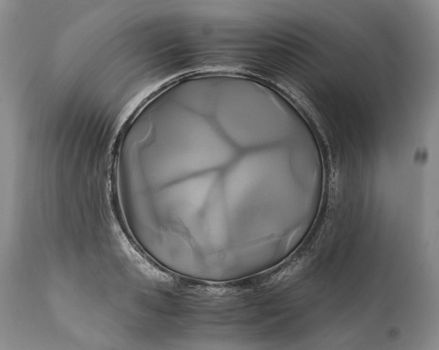 X0000110930941200907021520