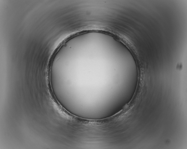 X0000110930942200907021520
