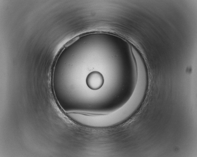 X0000110930944200907021520
