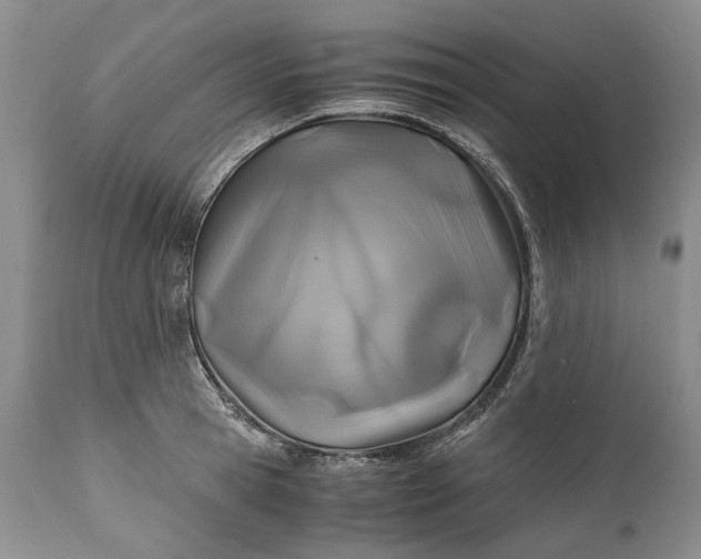 X0000110930945200907021520