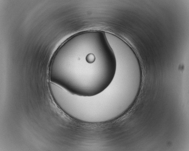 X0000110930948200907021520