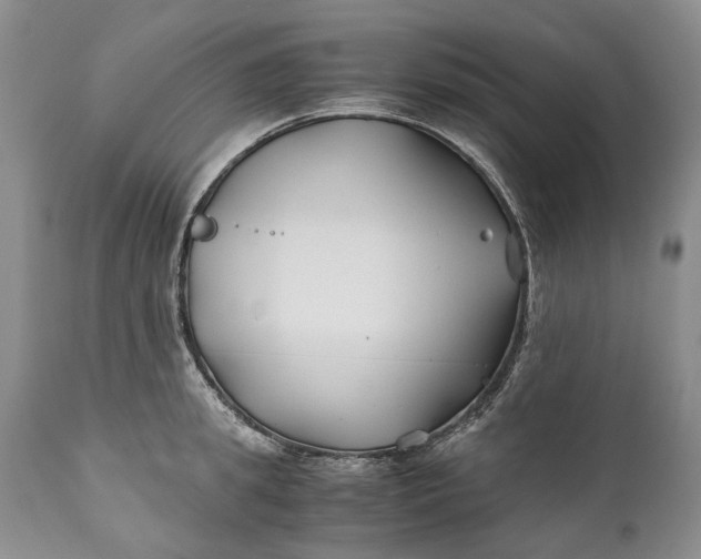 X0000110930949200907021520