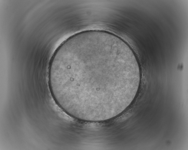 X0000110930950200907021520