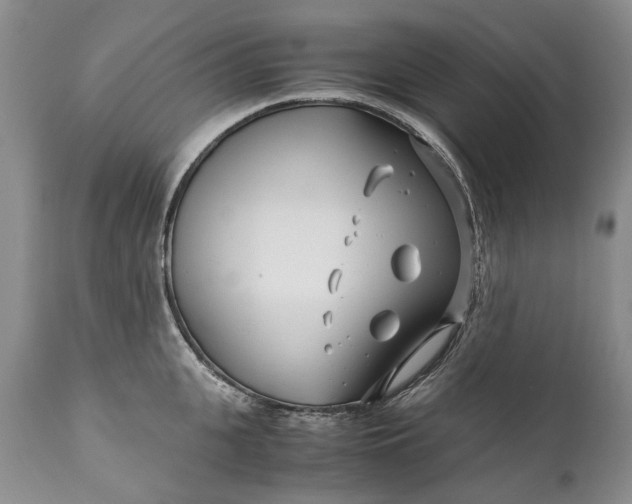 X0000110930951200907021520