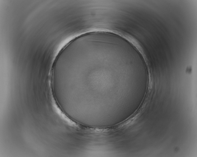 X0000110930958200907021520