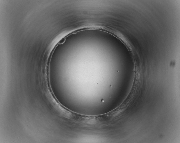 X0000110930959200907021520