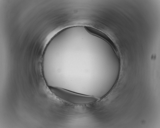 X0000110930960200907021520