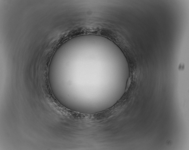 X0000110930961200907021519