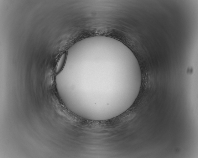 X0000110930962200907021519